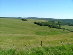Paysage Aubrac &eacute;t&eacute; 2004